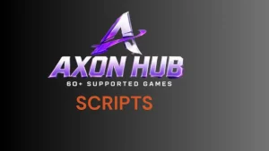axon hub
