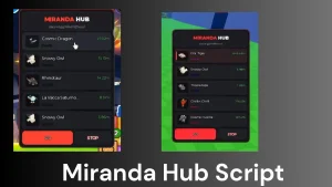 a hub script